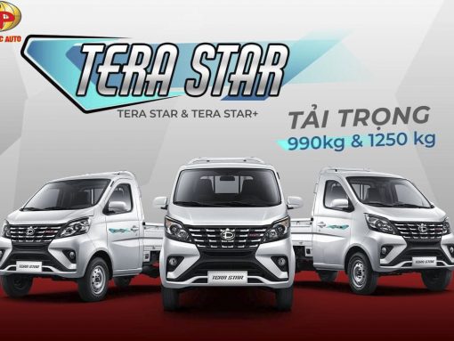 TERA STAR